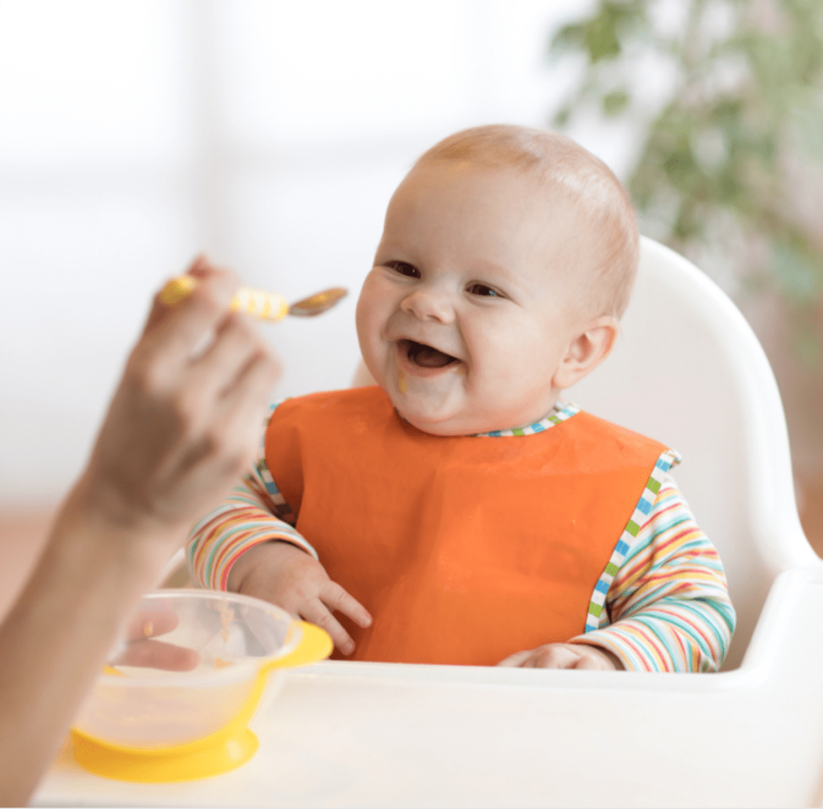 Weaning Essentials - Baby Bubble